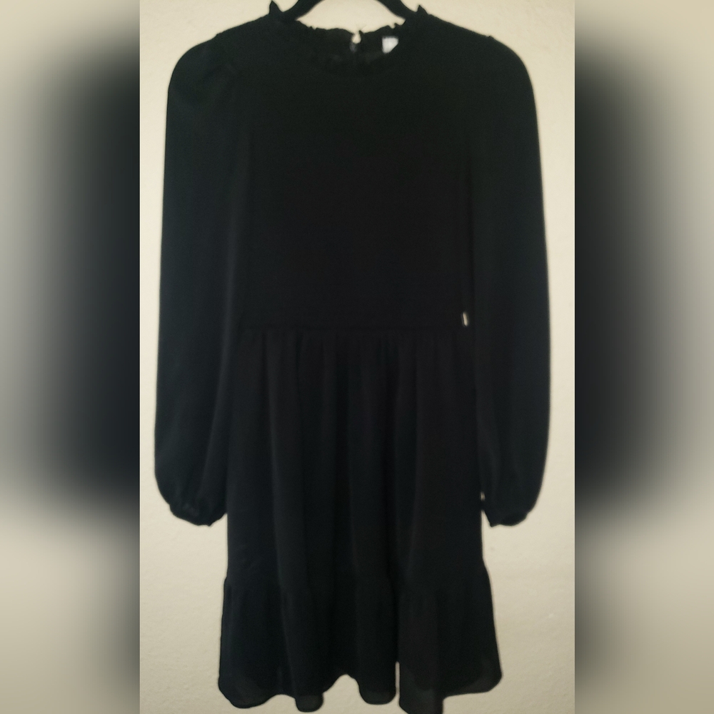 Exlura Beautiful Black Sheer back and long sleeve knee length ruffle dress.